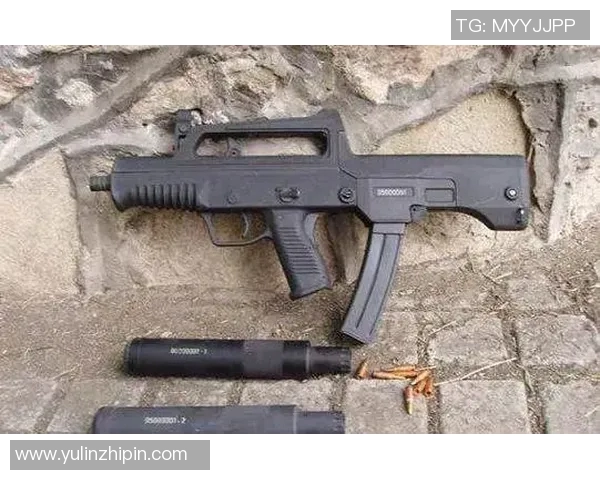 中国射击队更新枪械装备,性能提升30%