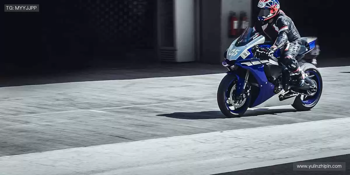 👟 专业装备,个性设计,